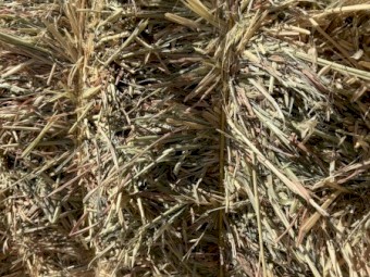 260MT Oaten Hay 8x4x3 Bales