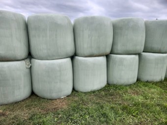 Lucerne Silage 4x4 Round bales