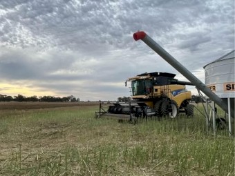 WANTED Lease or Share Farm Land Raywood.