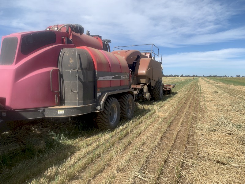 Dewpoint 6110 Hay Steamer