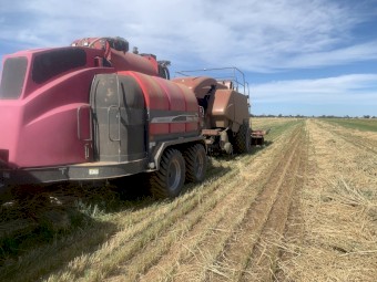 Dewpoint 6110 Hay Steamer