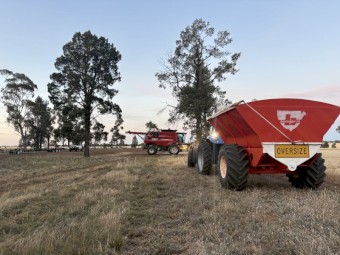 Bordignon 16T Chaser Bin
