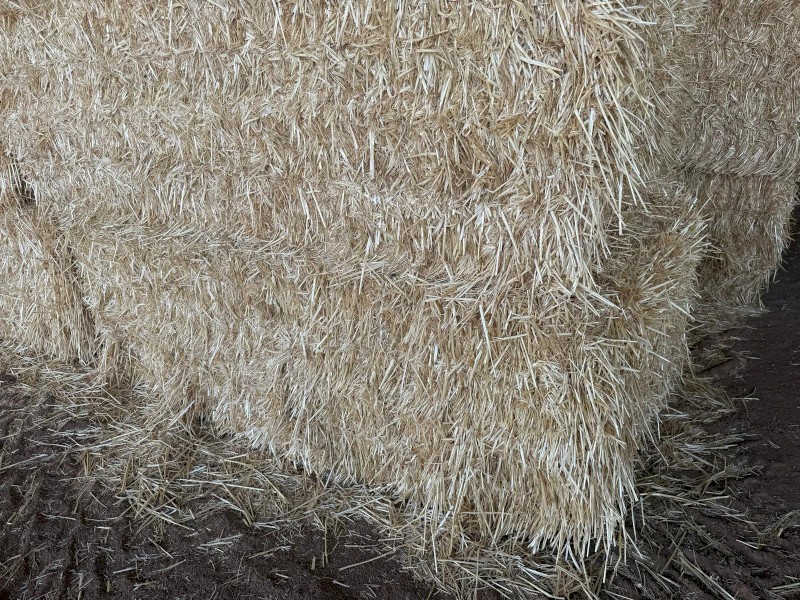 500 m/t Header Trailed Wheaten Straw
