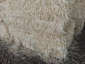 500 m/t Header Trailed Wheaten Straw