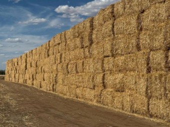 500 m/t Header Trailed Wheaten Straw