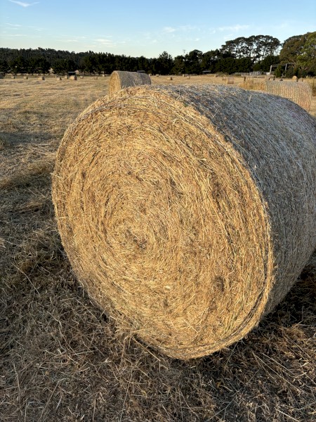 4' x 4' Round Bales Balnarring 120 available