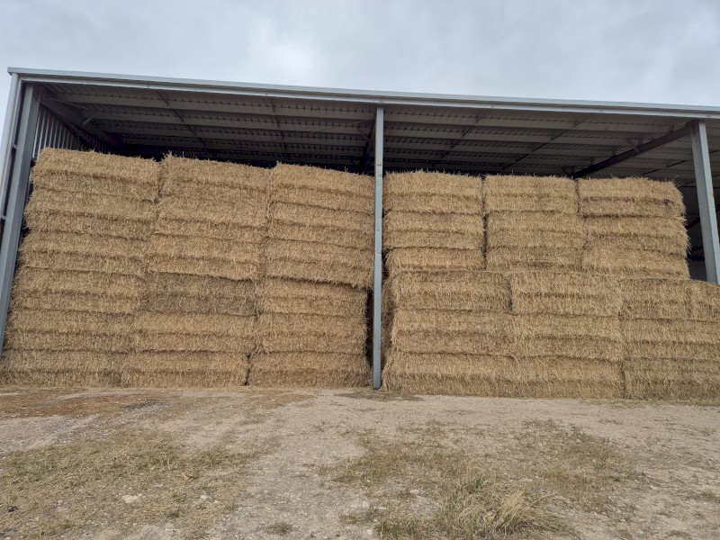 250mt Barley Lucerne Hay 685kg 8x4x3 Bales