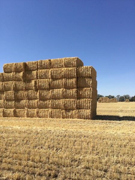 500mt Wheaten Straw 8x4x3 Bales