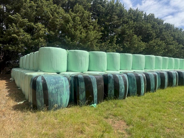 patrure silage 