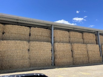  300 Wheaten Hay 650kg 8x4x3 Bales