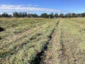 100 x Rhodes Hay 4x4 Rounds