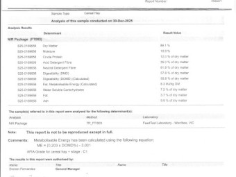 2025 Wheat/Clover blend Hay 