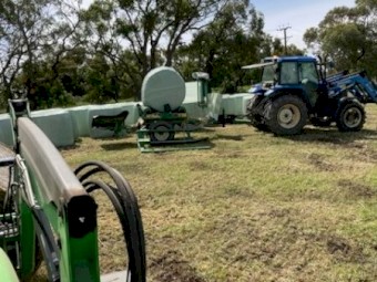 Forage Barley Silage Rolls x 77