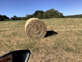 80 x Clover and Ryegrass Hay 4x4 Rolls