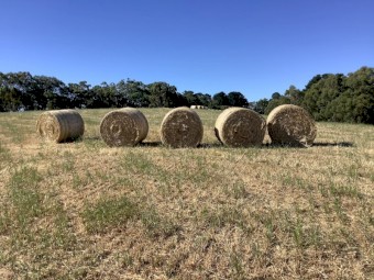80 x Clover and Ryegrass Hay 4x4 Rolls