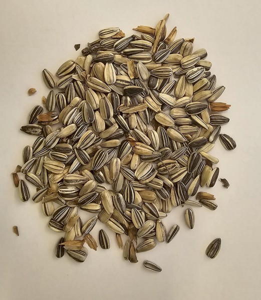 Organic Sunflower Seeds 