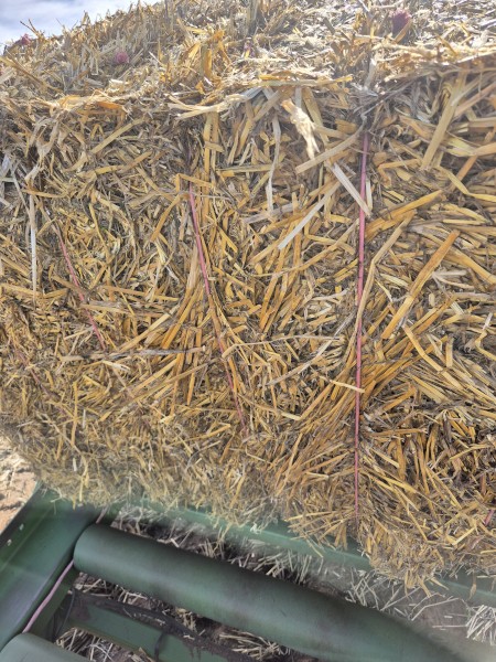 200mt Windrowed Barley Straw 8x4x3 Bales