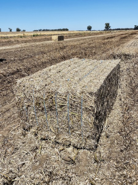 Faba Bean Straw