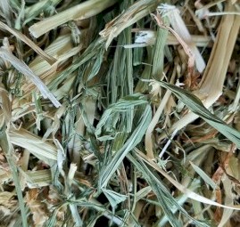 Barley Small Squares