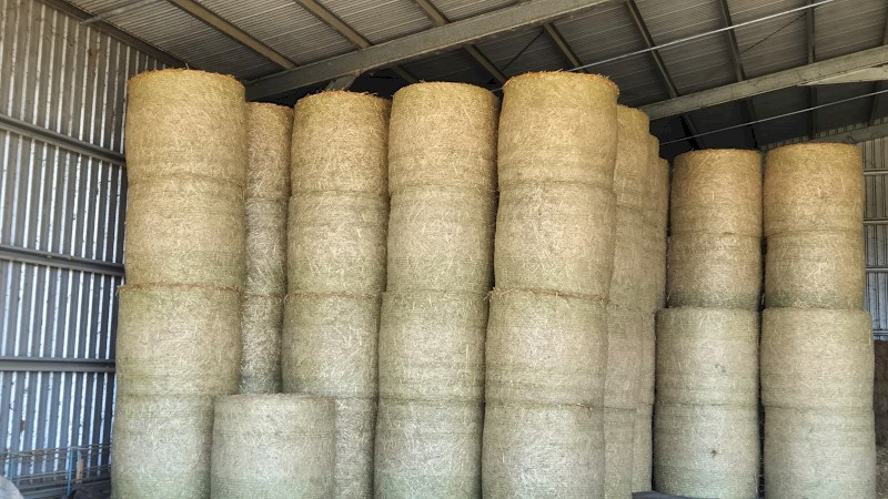 Oaten Round Bales