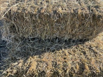 Rye and clover little sqaures in 14 bale packs