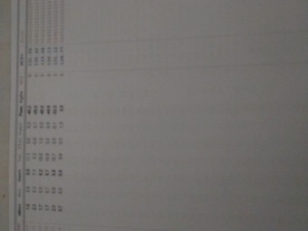 Border Leicester rams