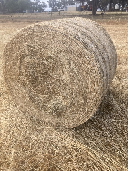 New Season Oaten Hay - 4ft x 4ft bales