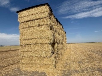 Good Quality Oaten Hay