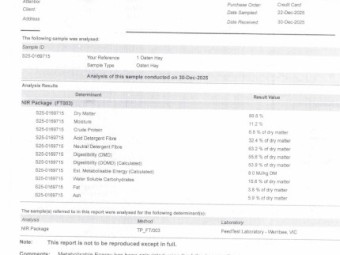 Good Quality Oaten Hay