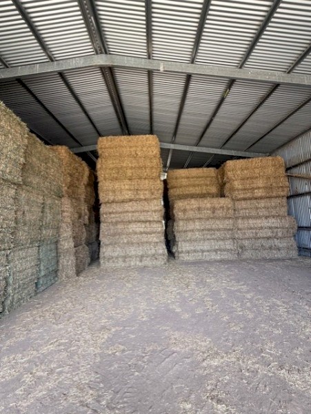 Wheat and Vetch Cereal Hay