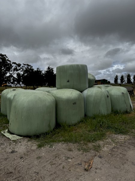 Silage Bales
