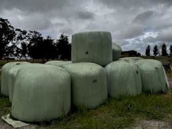 Silage Bales