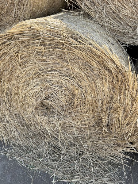 800 x Wheaten and Rye Hay 5x4 Rolls