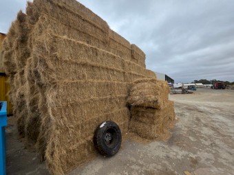 Hay - Clover and Ryegrass
