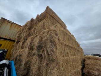 Hay - Clover and Ryegrass