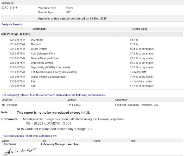 200T Vetch Hay 650kg 8x4x3 Bales
