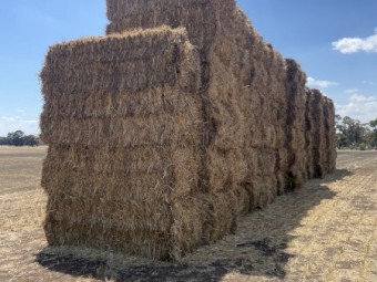 1000mt Oaten Hay 680kg 8x4x3 Bales