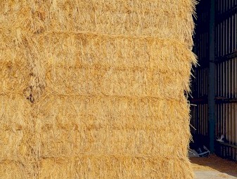 115mt Barley Hay 8x3x3 Bales