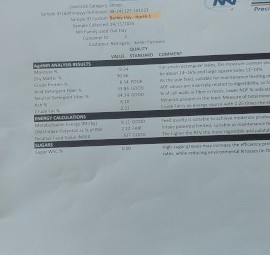 115mt Barley Hay 8x3x3 Bales