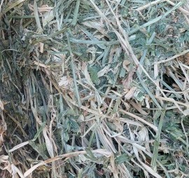 Lucerne 90% barley 10%