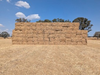 100mt Oaten/Rye/Clover Mix Hay 500-550kg 8x4x3 Bales