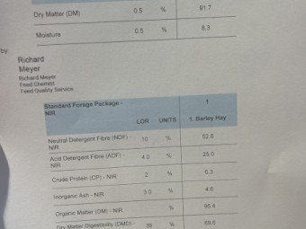 '25 season Barley Hay