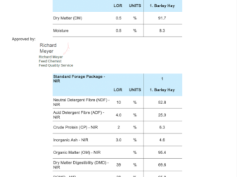 250mt Barley Hay 8x4x3 Bales