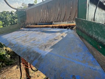 Fruit hopper washer sizer