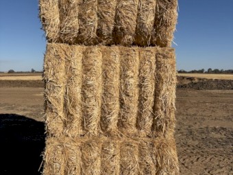 320MT Wheaten Header Tailings