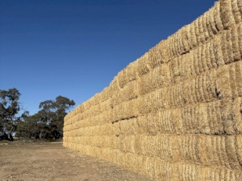 320MT Wheaten Header Tailings
