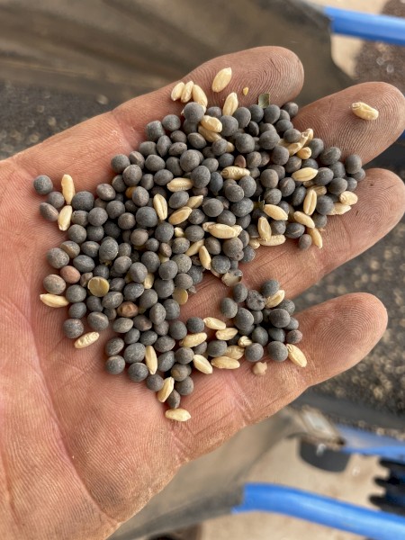 5mt Vetch /Wheat Mix