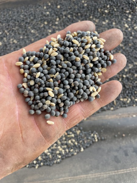 20mt Vetch /Wheat Mix