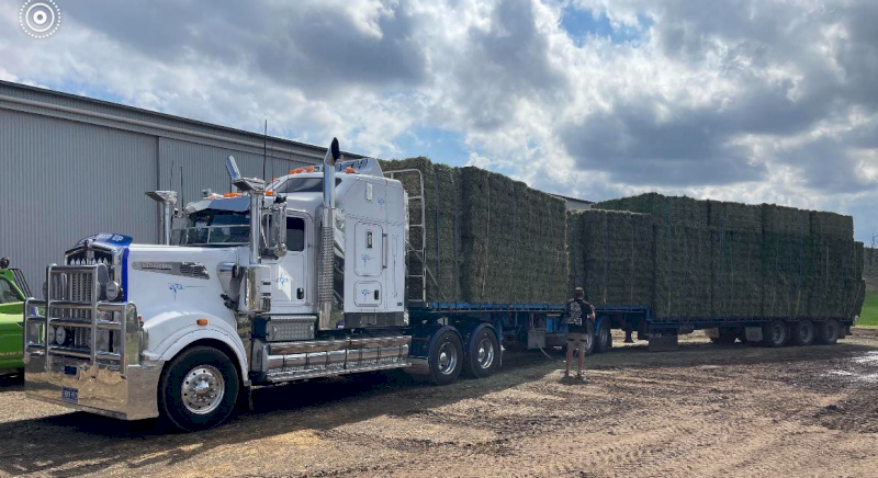 500mt Lucerne Hay 8x4x3 Bales