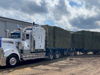 500mt Lucerne Hay 8x4x3 Bales